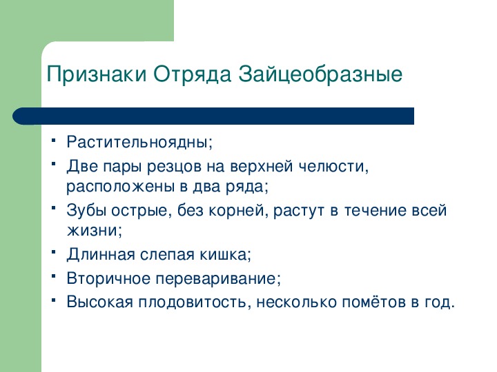 Презентация про зайцеобразных по биологии 7 класс