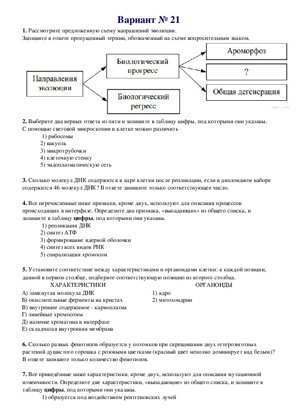 Раковина спирально закрученная критерий вида