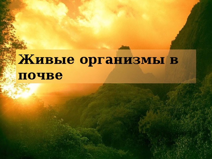 Обложка для материала Живые организмы в почве