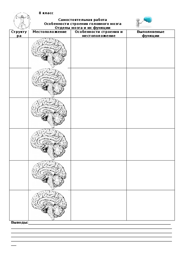 Самостоятельная работа по теме «Особенности строения головного мозга». 8 класс.