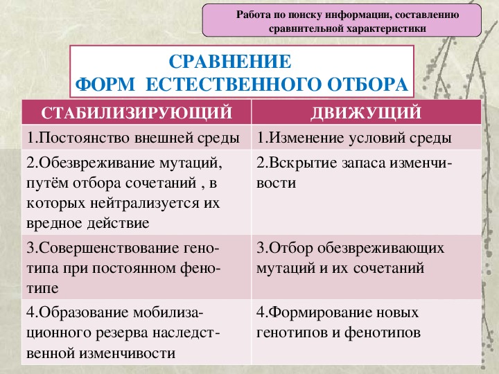 Естественный отбор презентация по биологии