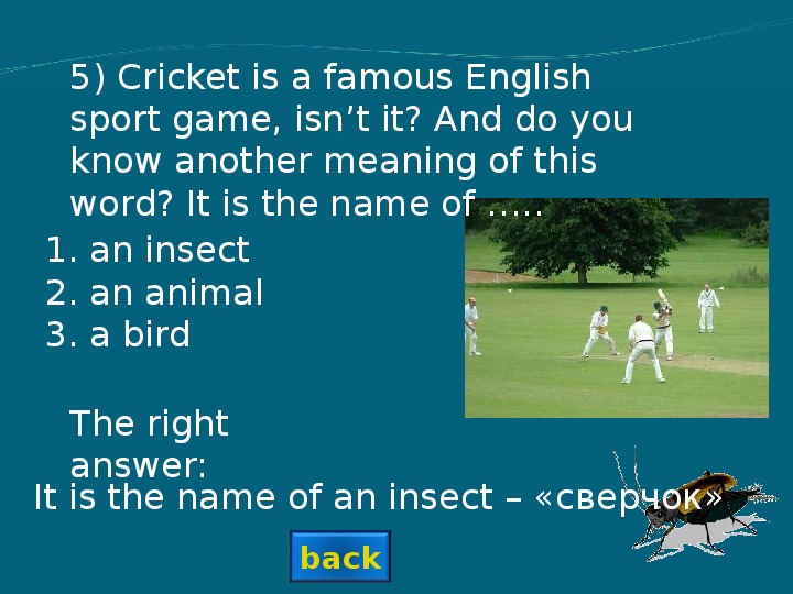 Презентация викторины английский. Sport English. Презентация по английскому языку 5 класс на тему Quiz atin of. Рассказ про Cricket для 5 класса.