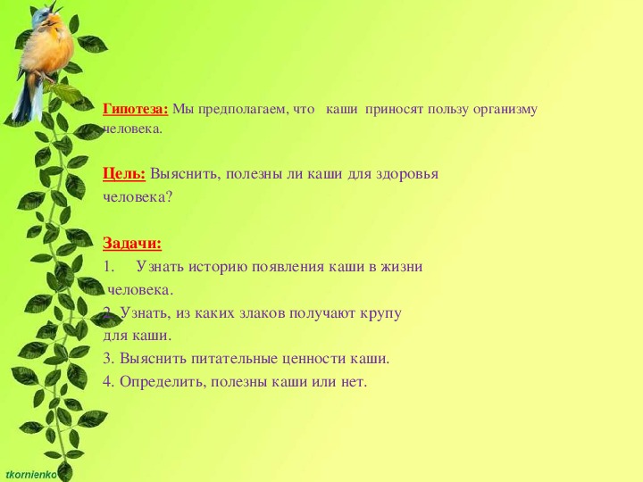 Написать сочинение на тему пернатые гости 3 класс по плану