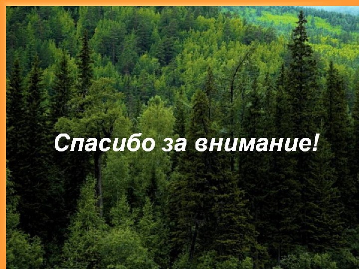 Слайд спасибо за внимание для презентации по географии