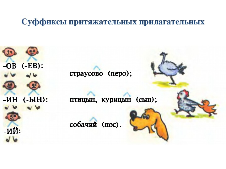 Правописание притяжательных прилагательных презентация 3 класс