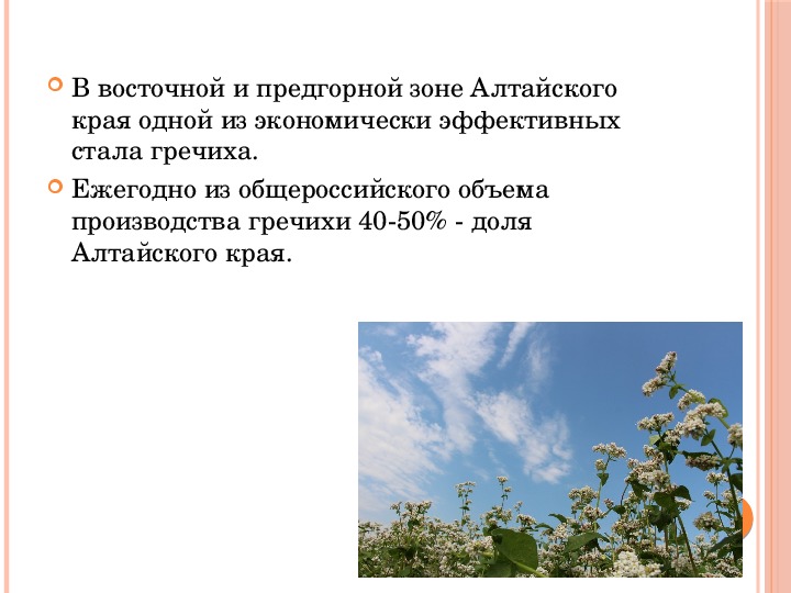 Проект 3 класс окружающий мир экономика алтайского края 3 класс