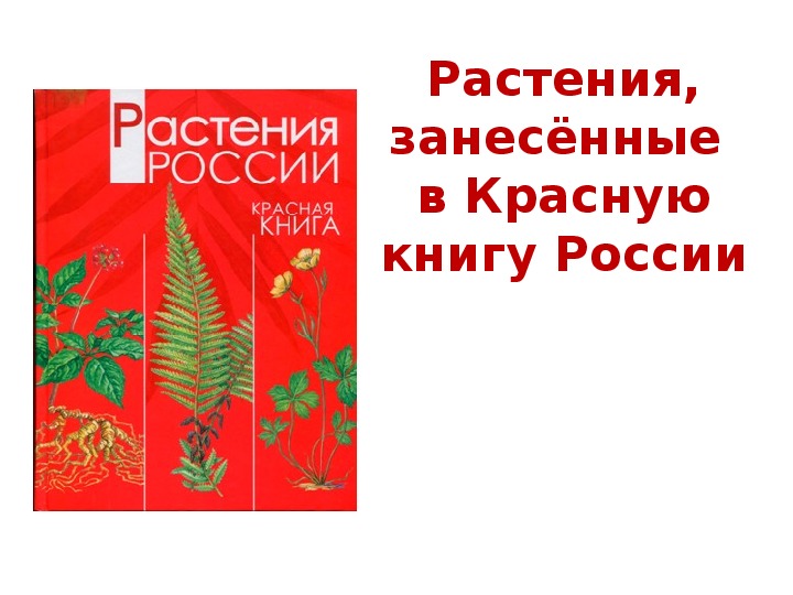 Обложка для материала Интерактивный плакат "Растения, занесённые в Красную книгу России"