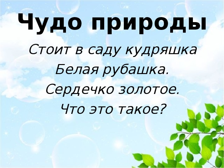 Презентация по окружающему миру на тему 