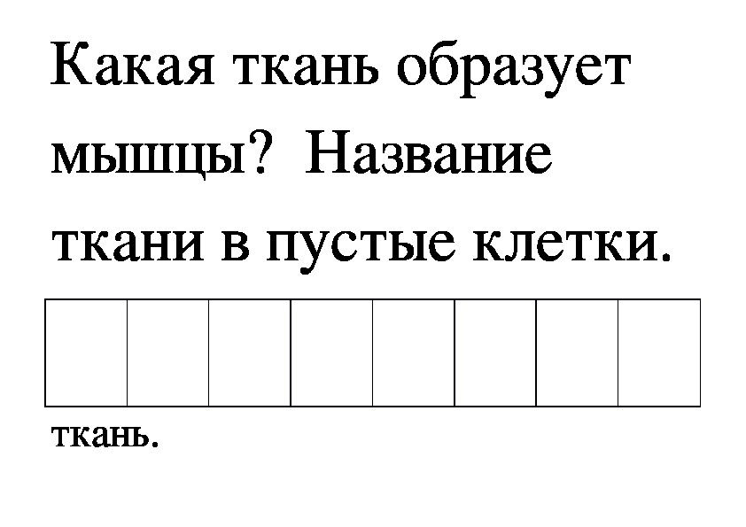 Обложка для материала Тема: Строение и значение мышц. Виды мышечной ткани, и типы мышц.