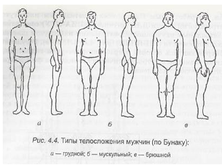 Типы мужских фигур картинки