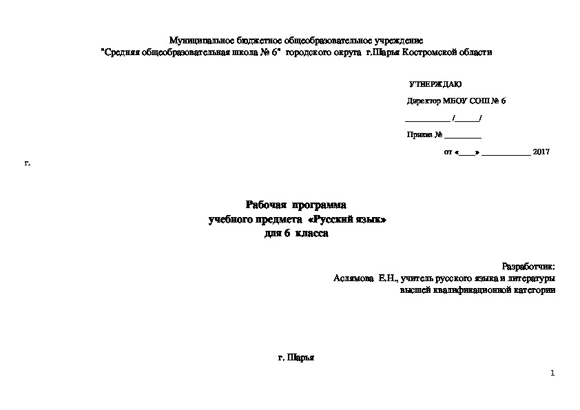 Рабочая программа по русскому языку  ФГОС  (6 класс)