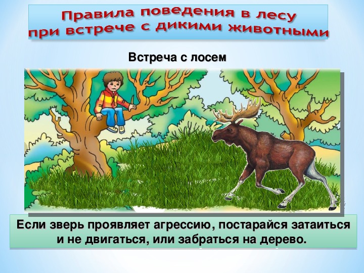 Презентация на тему обеспечение безопасности при встрече с дикими животными в природных условиях