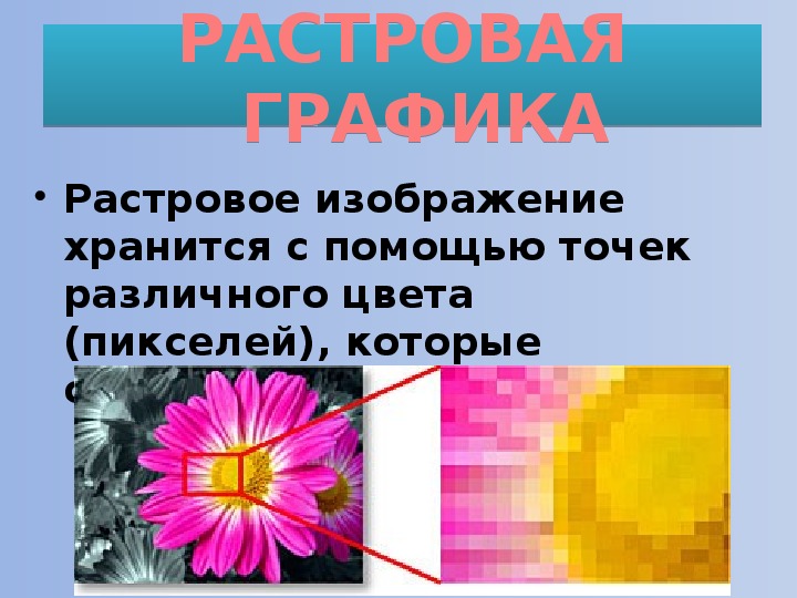 Растровыми цветами. Растровое изображение цвета. Цветы растровое изображение. Естественность цветов растрового изображения. Цвет в растровой графике..