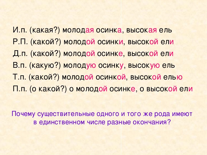 Ветка ели склонение. Ели склонение по падежам. Ель склонение по падежам. Ель по падежам склонять. Таблица склонений имён существительных по падежам.