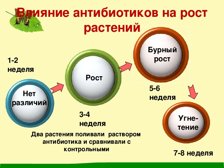 Влияние антибиотиков на организм презентация