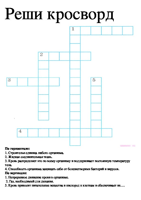 Кроссворд артерии. Кроссворд по теме кровообращение. Кроссворд на тему кровообращение. Кроссворд кровеносная система. Кроссворд по органам кровообращения.
