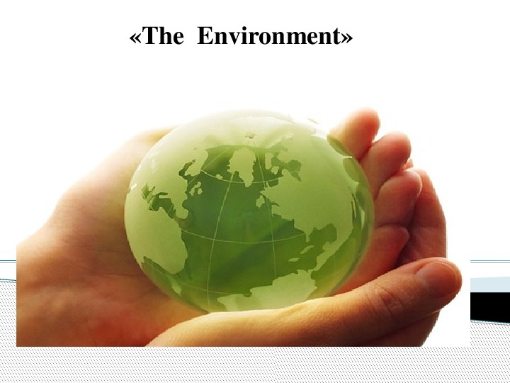 Презентация на тему environment