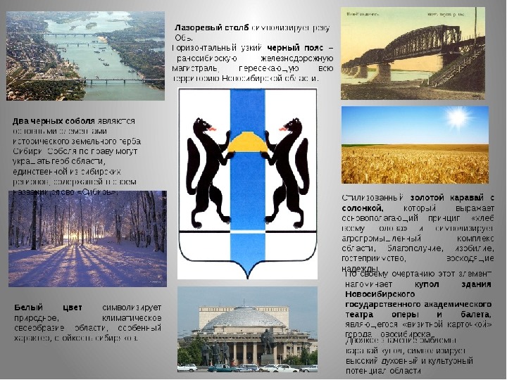 Проект новосибирская область