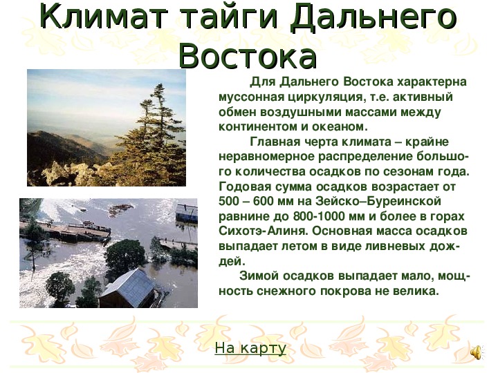 Климат на востоке