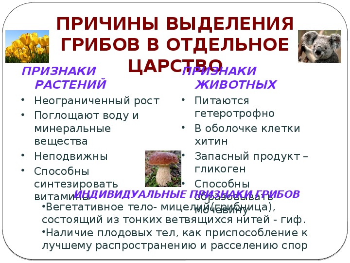 Перечислите признаки царства