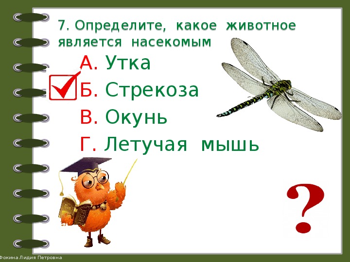 Проверочная работа по теме животные 2 класс