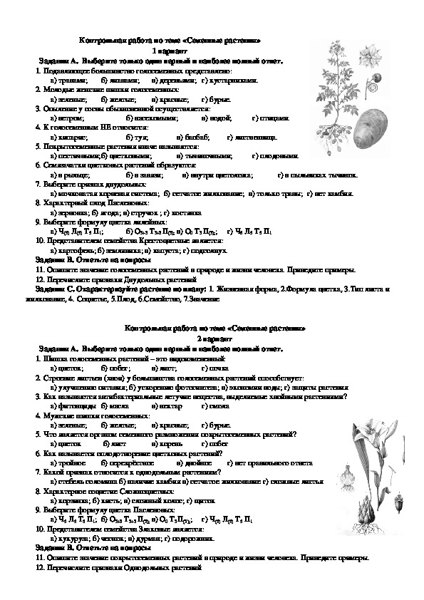 Контрольная работа на тему "Семенные растения" (6 класс, биология)