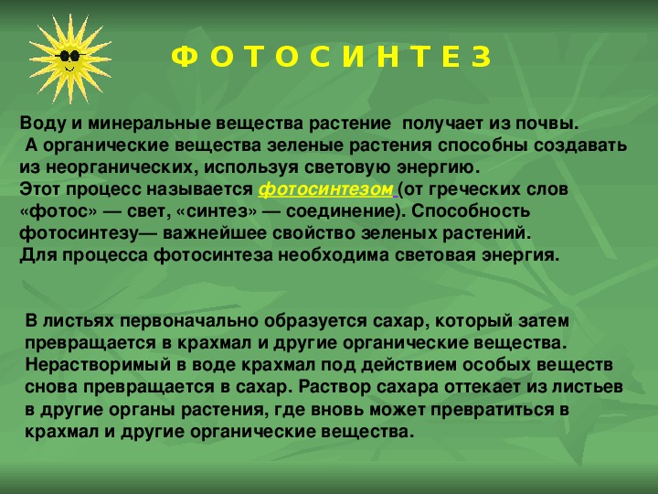 Образование органических веществ в растении