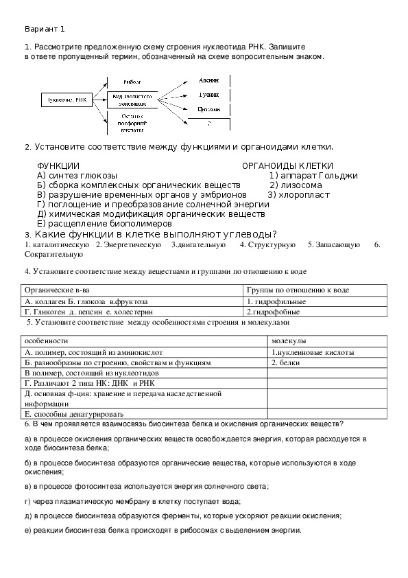 Лабораторная работа по биологии 9 класс номер 7 составление схем передачи веществ и энергии