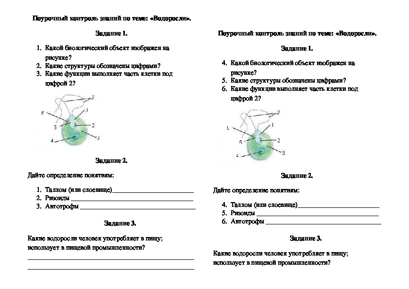 Тест водоросли 6 класс биология. Поурочный контроль по биологии. Задания по теме водоросли 6 класс. Тема водоросли 5 класс биология. Контрольная по водорослям.