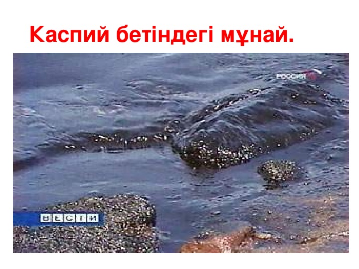 Каспий экологисы