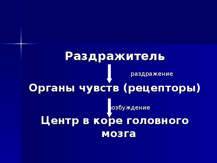 Презентация по биологии на тему анализаторы 8 класс