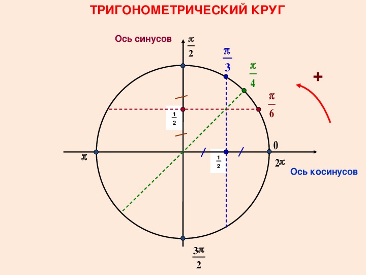 Построение тригонометрического круга
