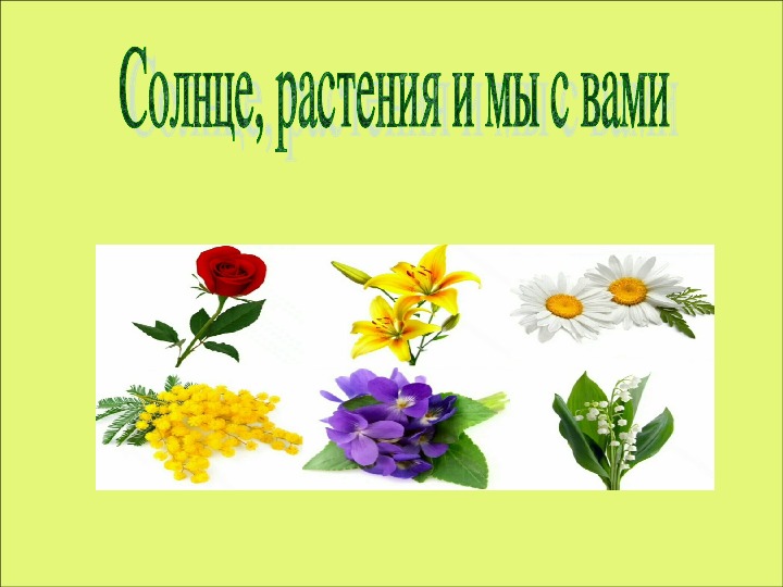 Тема солнце растения и мы с вами. Солнце растения и мы с вами презентация. На тему разнообразие растений солнца растений и мы с вами.