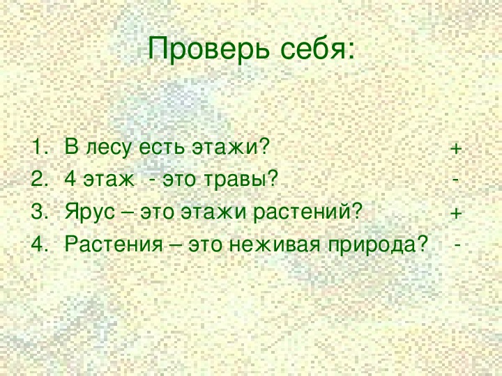 Эт это. Проверь себя Лесные этажи. План была в лесу. Тест по ок.миру 2 класс царство растений с ответами.