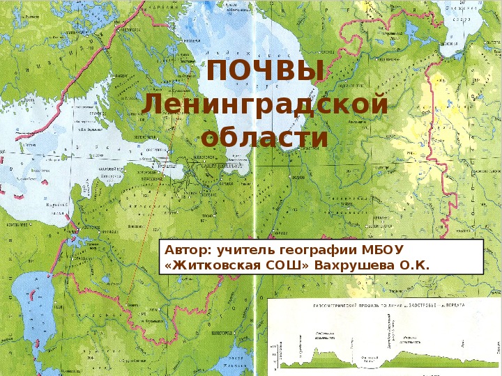 Презентация «Почвы Ленинградской области» (8 класс)