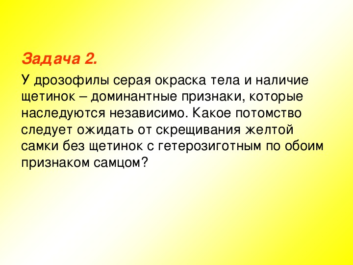 У дрозофилы рецессивный ген желтой окраски