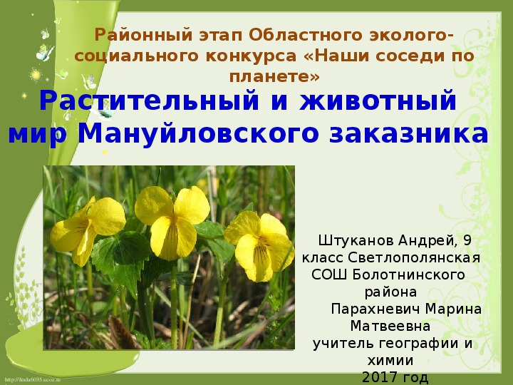 Презентация  по экологии на тему "Растительный и животный мир Мануйловского заказника"