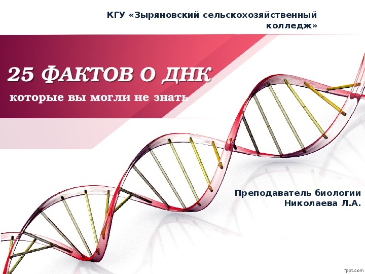 Презентация "25 фактов о ДНК"