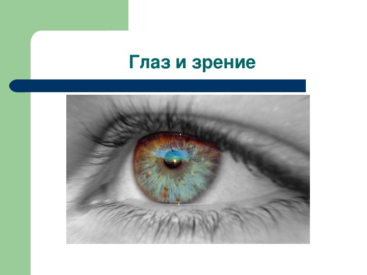 Презентация "Глаз и зрение" (8 класс)