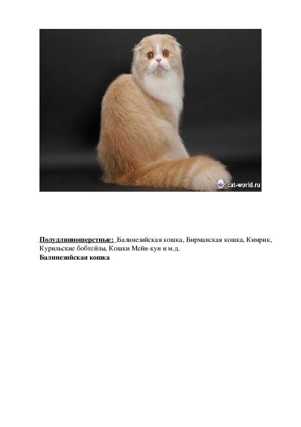 Научно - исследовательский проект «Мой домашний питомец – кошка Лиза»