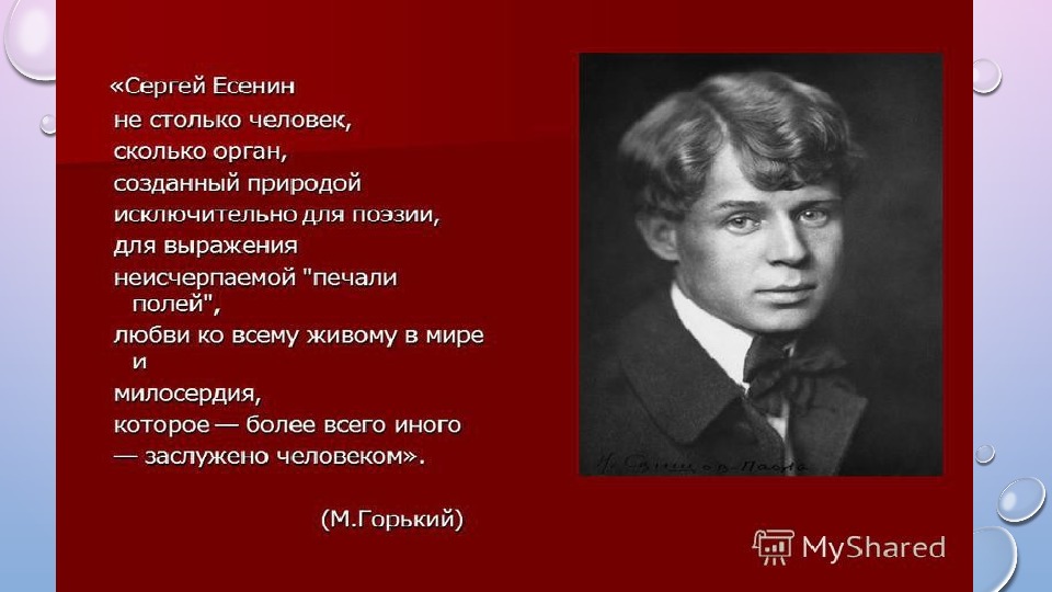 Не влюбляйся красавица он картежник. Есенин с. "стихи". Сергей Есенин не влюбляйся красавица. Есенин про красавицу. Сергей Есенин алкоголик.