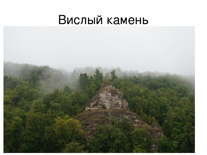 Вислый камень змеиный Затон