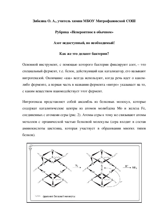 Обложка для материала Рубрика «Невероятное в обычном» Азот недоступный, но необходимый! Как же это делают бактерии?