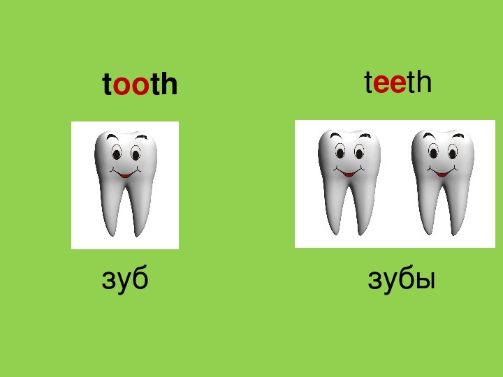 Tooth множественное число