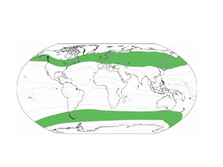 Климат умеренного пояса. Умеренный климатический пояс на карте. Умеренный климатический пояс на карте мира. Умеренный климат пояс карта. Карта умеренного климатического пояса.
