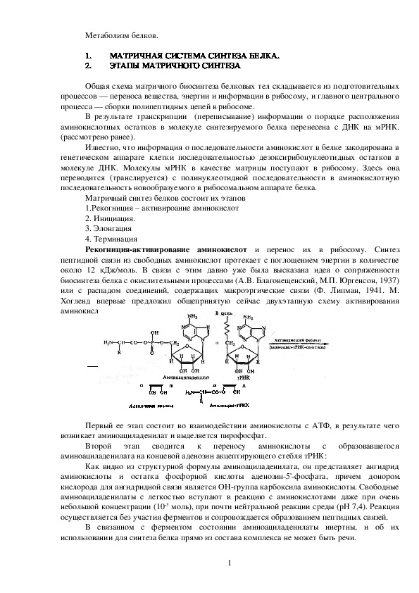 МАТРИЧНАЯ СИСТЕМА СИНТЕЗА БЕЛКА.