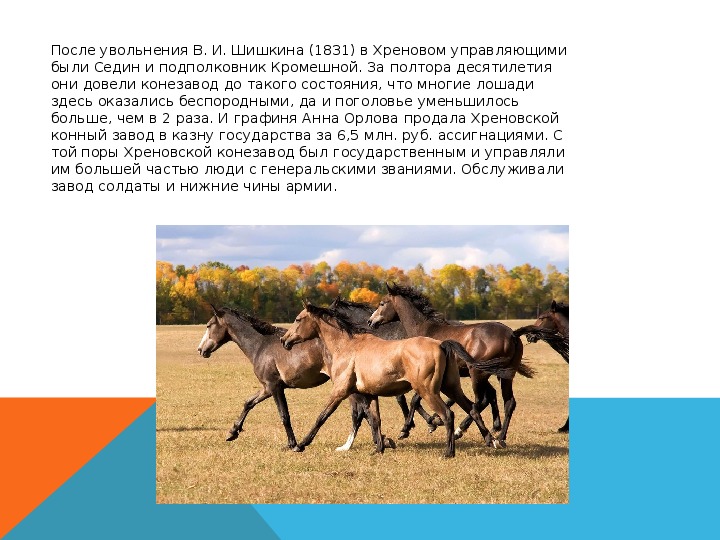 Презентация на тему: "Хреновской конный завод"