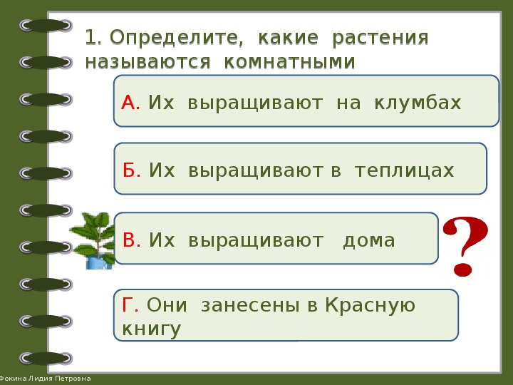 Проверочная работа по теме растения