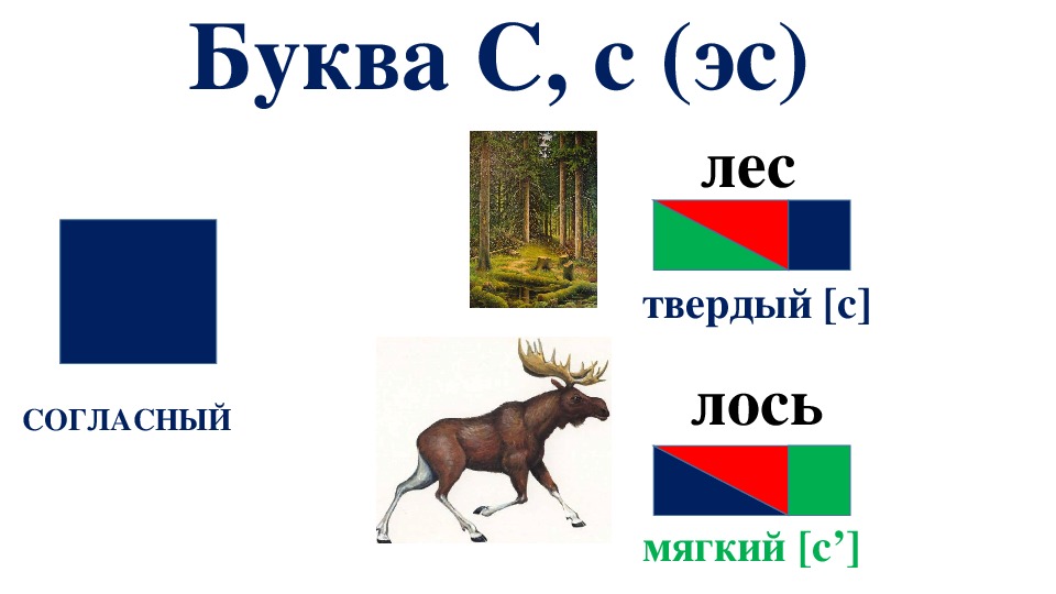 Лось схема слова цветная