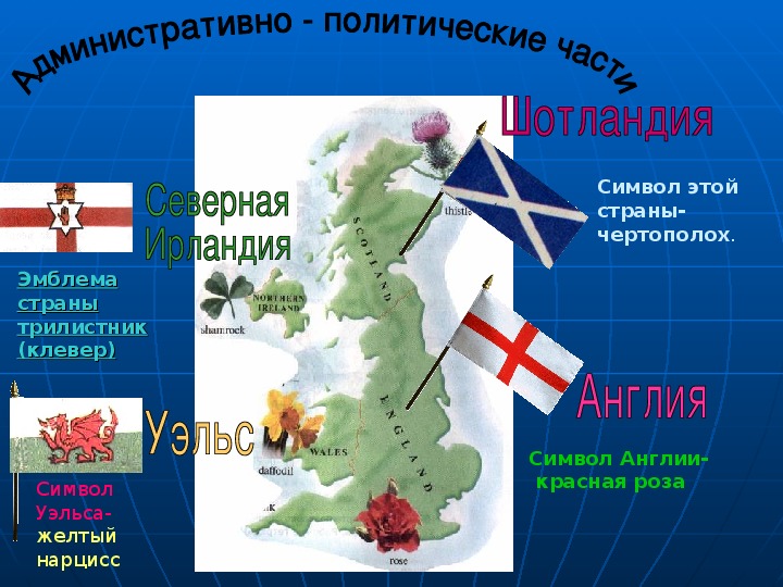 Цветы частей великобритании. Символы стран Великобритании. Эмблемы стран Великобритании. Символ Великобритании роза чертополох и. Официальные символы стран Великобритании.